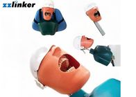 Dental Simulator Dental Chair Unit Detnal Teaching Model Training Simulator Head with Belt